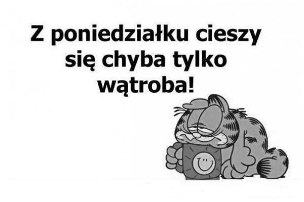 Zmęczony garfield z kawą w poniedziałek